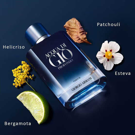 Acqua Di Giò Profondo Parfum – 100ml