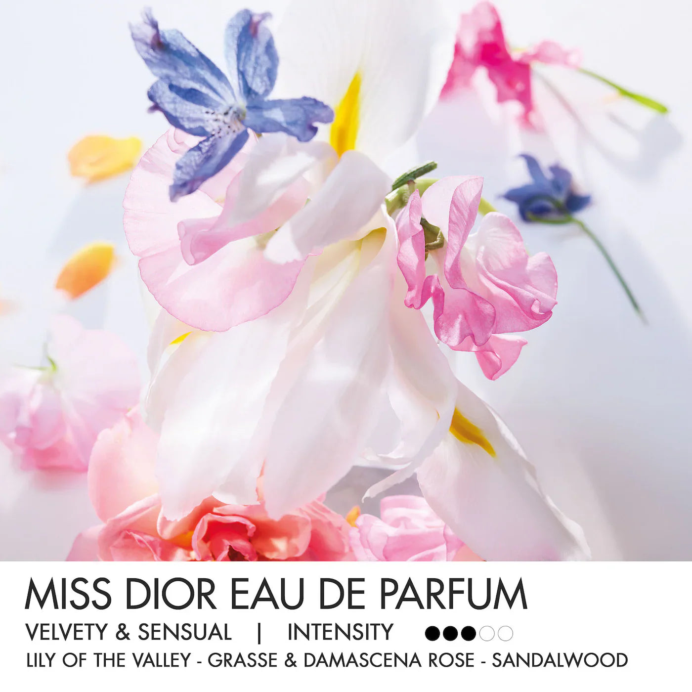 Miss Dior Eau de Parfum – 100ml